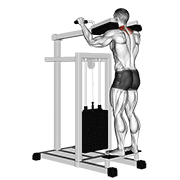 Lever gripless shrug demonstration