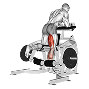 Lever kneeling leg curl demonstration