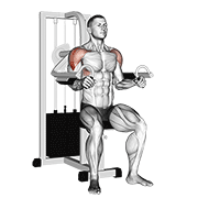 Lever lateral raise demonstration