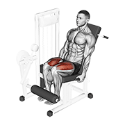 Lever leg extension demonstration