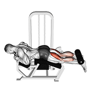Lever lying leg curl demonstration