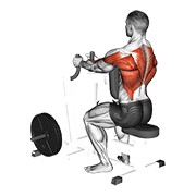 Lever narrow grip seated row demonstration