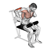 Lever overhand triceps dip demonstration