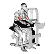 Lever preacher curl demonstration