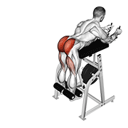 Lever reverse hyperextension demonstration