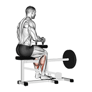 Lever seated calf raise demonstration