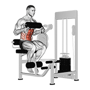 Lever seated crunch (chest pad) demonstration
