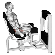 Lever seated hip abduction demonstration