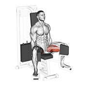 Lever seated hip adduction demonstration