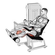 Lever seated leg curl demonstration