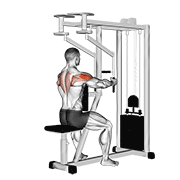 Lever seated reverse fly (parallel grip) demonstration