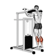 Lever standing calf raise demonstration