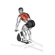 Lever t bar row demonstration