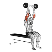 Olympic barbell triceps extension demonstration