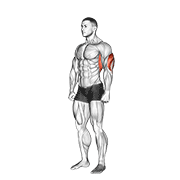 Overhead triceps stretch demonstration
