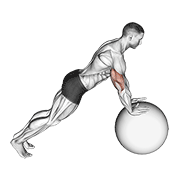 Push-up (on stability ball) demonstration