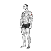 Rear deltoid stretch demonstration
