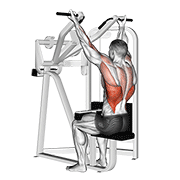 Reverse grip machine lat pulldown demonstration