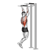 Reverse grip pull-up demonstration