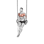 Ring dips demonstration