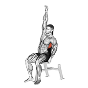 Seated lower back stretch demonstration