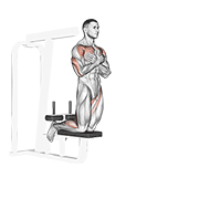 Self assisted inverse leg curl demonstration