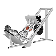 Sled 45в° calf press demonstration