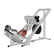 Sled 45в° leg press demonstration