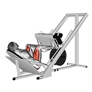 Sled 45в° leg wide press demonstration