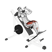 Sled closer hack squat demonstration