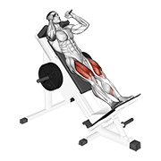 Sled hack squat demonstration
