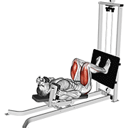 Sled lying squat demonstration