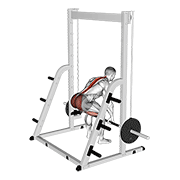 Smith deadlift demonstration