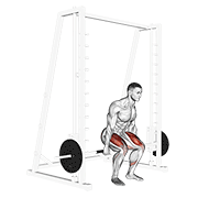 Smith hack squat demonstration