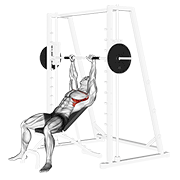 Smith incline shoulder raises demonstration