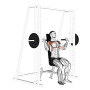 Smith shoulder press demonstration