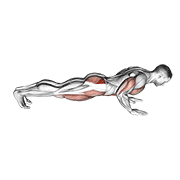 Spider crawl push up demonstration