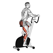 Stationary bike walk demonstration