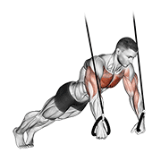 Suspended push-up demonstration