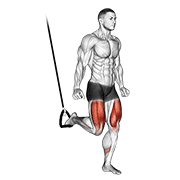 Suspended split squat demonstration