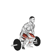 Trap bar deadlift demonstration