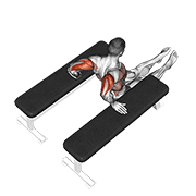 Triceps dip (between benches) demonstration