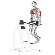 Triceps dip demonstration