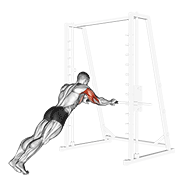 Triceps press demonstration