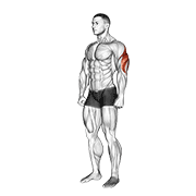 Triceps stretch demonstration