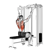 Twin handle parallel grip lat pulldown demonstration