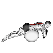 Weighted hyperextension (on stability ball) demonstration