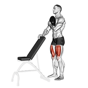 Weighted sissy squat demonstration