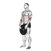 Weighted standing curl demonstration