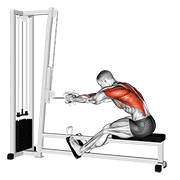Cable seated row demonstration